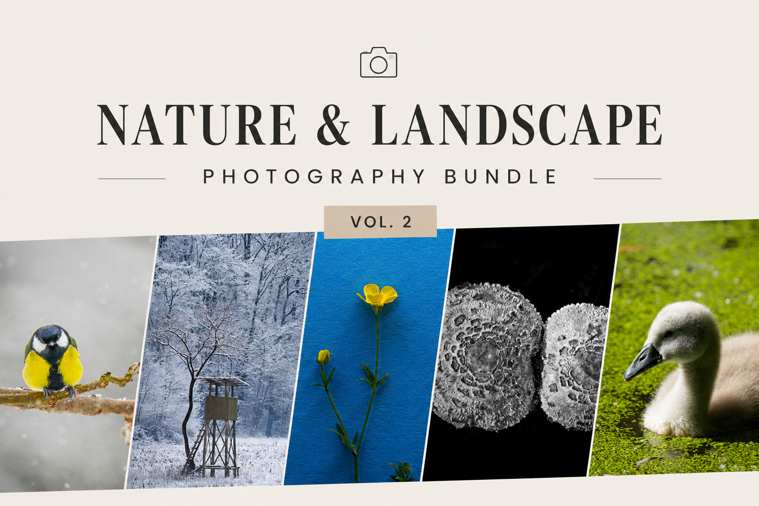 Nature & Landscape Vol. 2